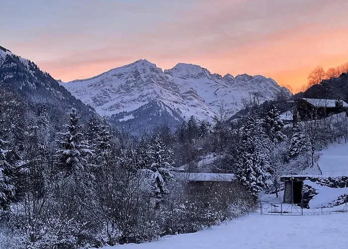 Mountain River Appart hôtel 4*